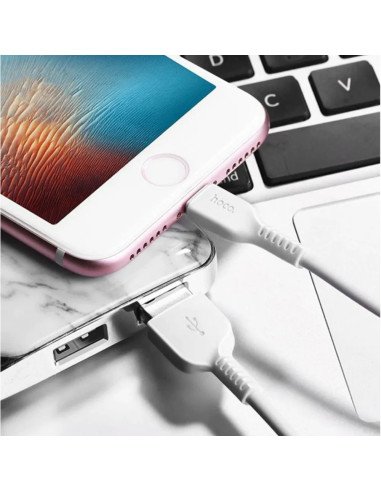 Cable Usb a Lightning Hoco X20 2 metro