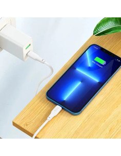 Cable Usb-c A Lightning Hoco X93 Force Pd 20w 2m 2