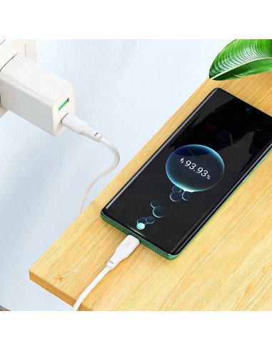 Cable Hoco X93 Force 100w Usb Tipo C A Usb Tipo C 2m
