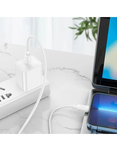 Cable Hoco X96 Tipo C Para Lightning 20w 25cm